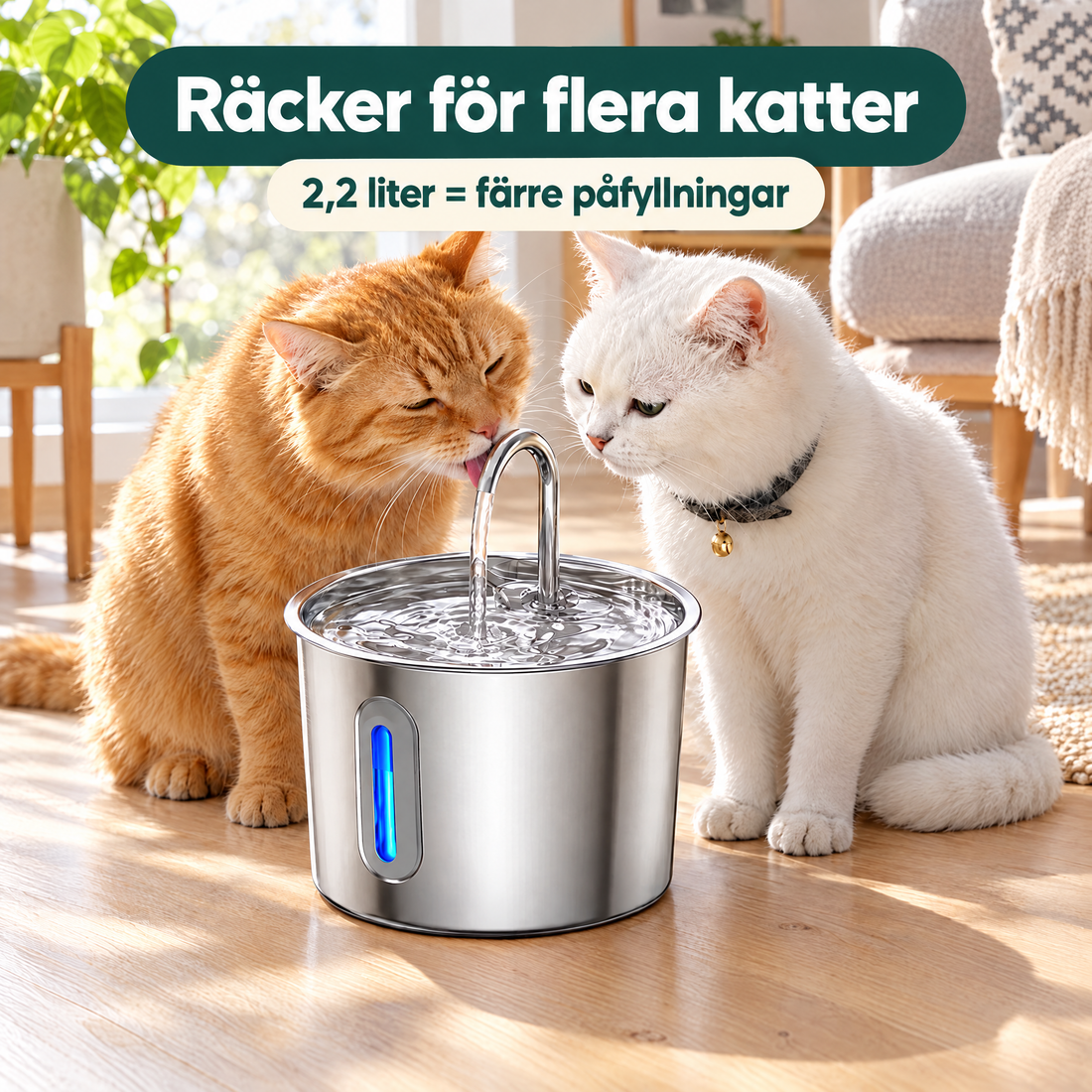 Räcker för flera katter